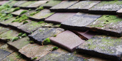 Christmas Common roof repair costs